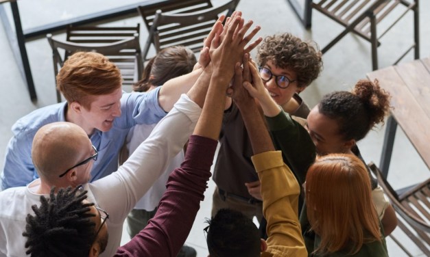 Unraveling the Digital Transformation Web