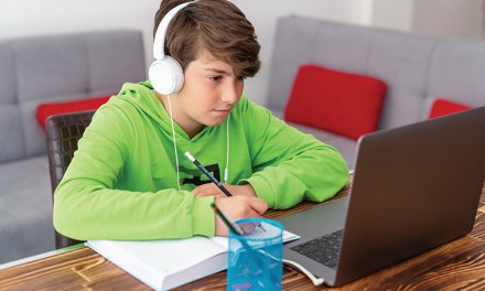 Broadband Access Goes from Luxury to Necessity