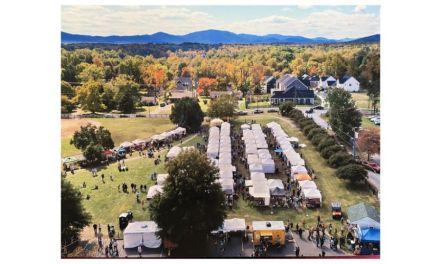 Lumos launches fiber internet services to 3,000 houses in Crozet, VA