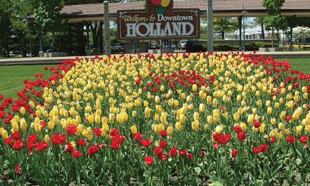 Slow and Steady Wins the Fiber Race