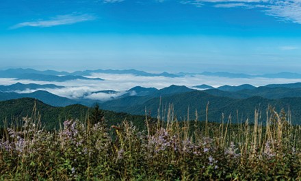 Q&A with Gayle Manchin of the Appalachian Regional Commission: A Quest to Connect Appalachia and  Close the Digital Divide