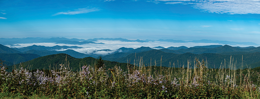 Q&A with Gayle Manchin of the Appalachian Regional Commission: A Quest to Connect Appalachia and  Close the Digital Divide