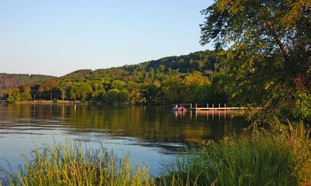 Two Electric Co-Ops Deliver Fiber