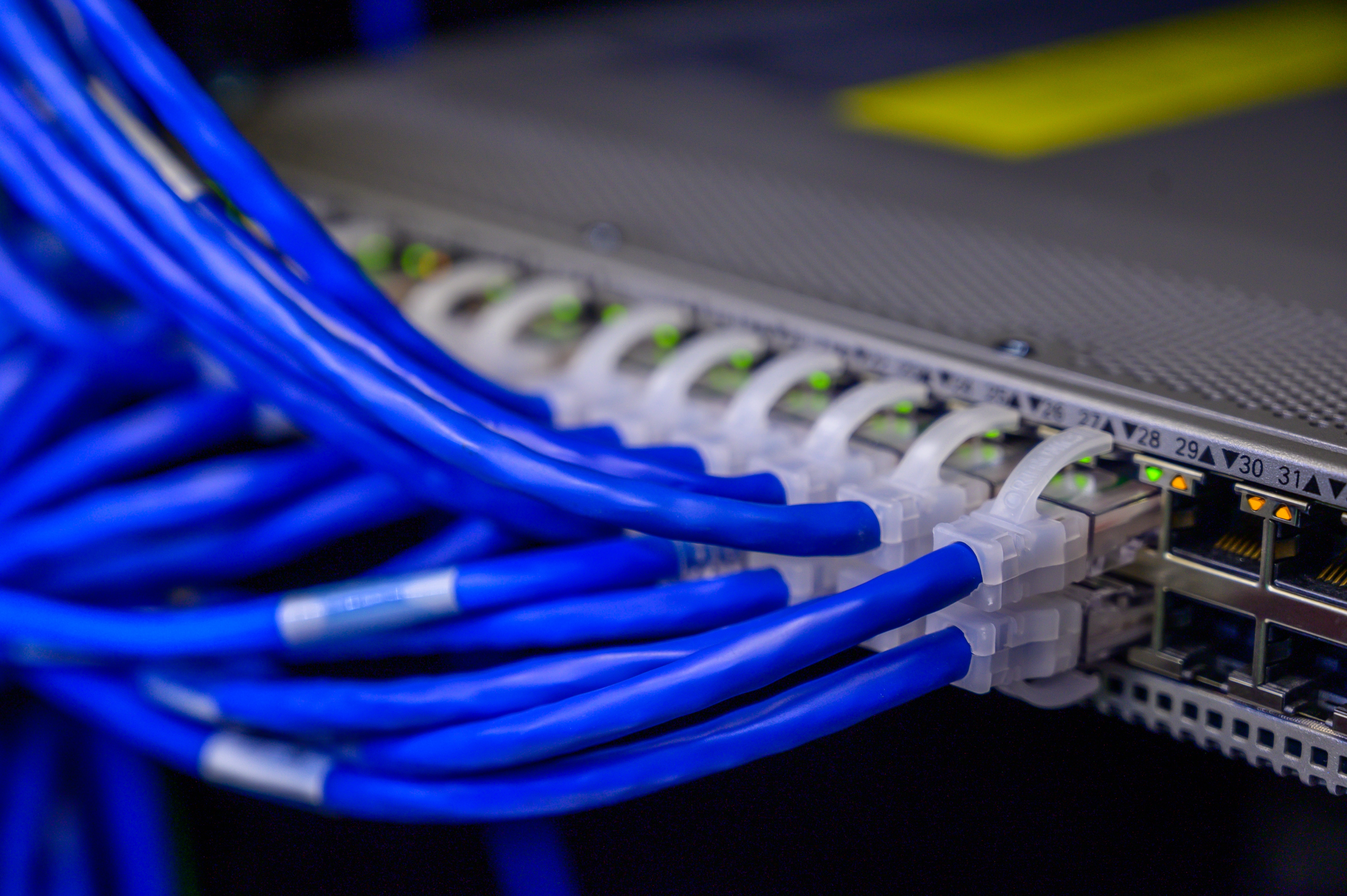 Photo showing Ethernet cables.