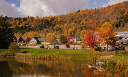 ISP’s leverage improved digital optics to bring fiber to remote communities