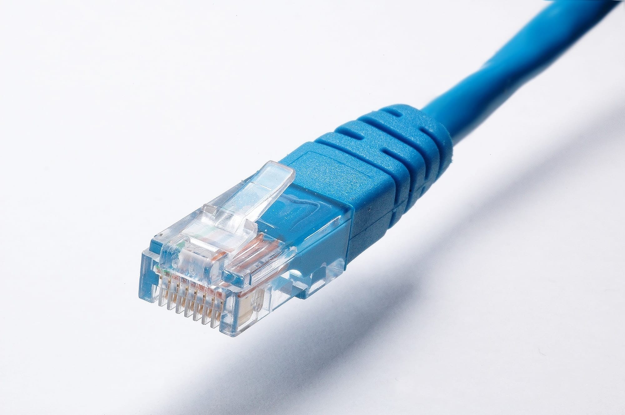 Photo of an Ethernet cable.