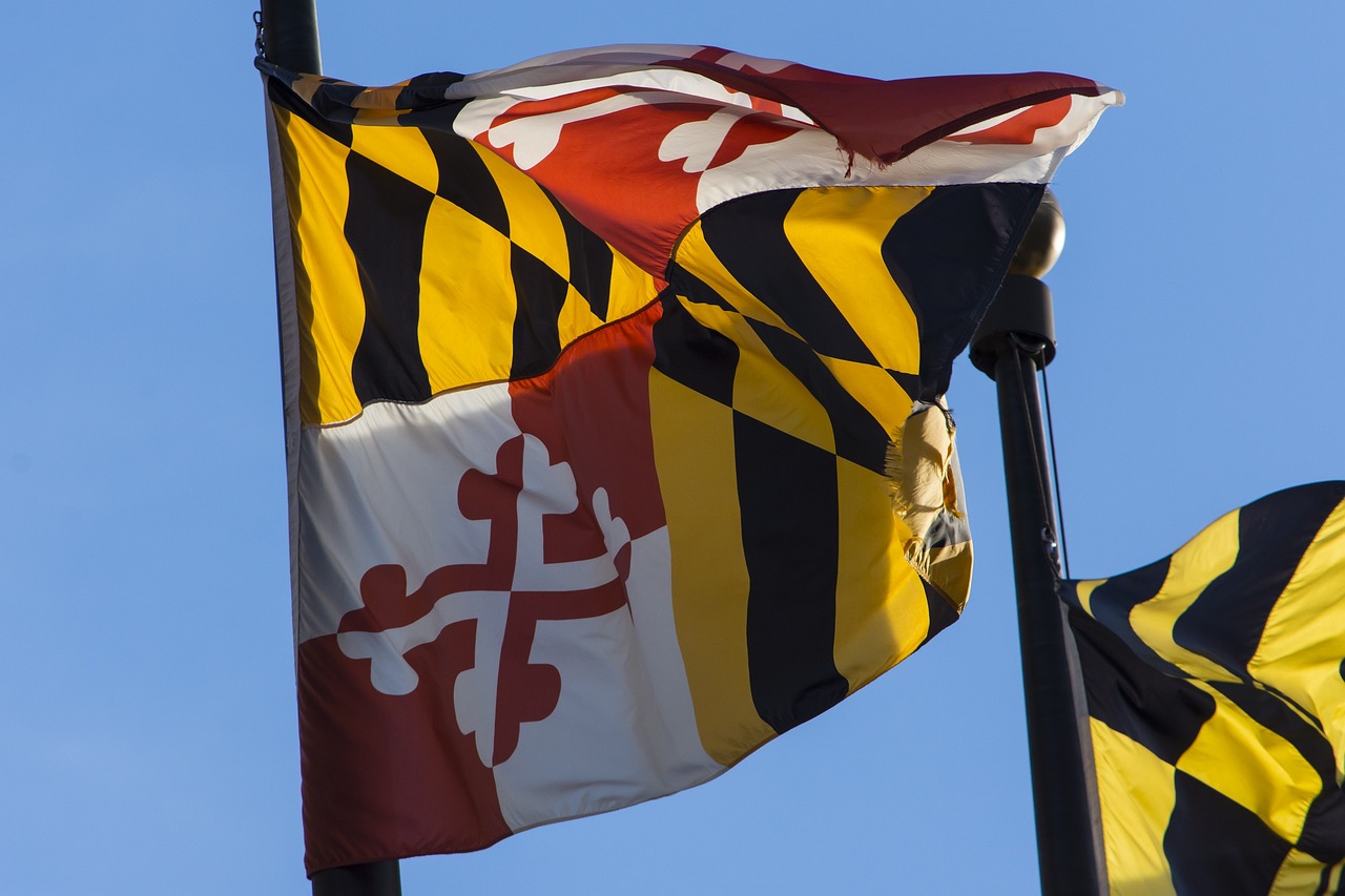 The Maryland state flag.