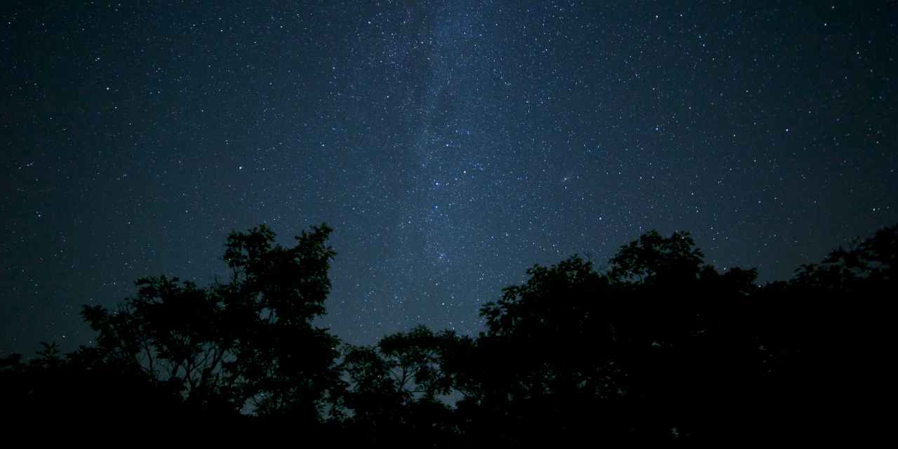 FCC queries SpaceX over direct-to-mobile satellite services