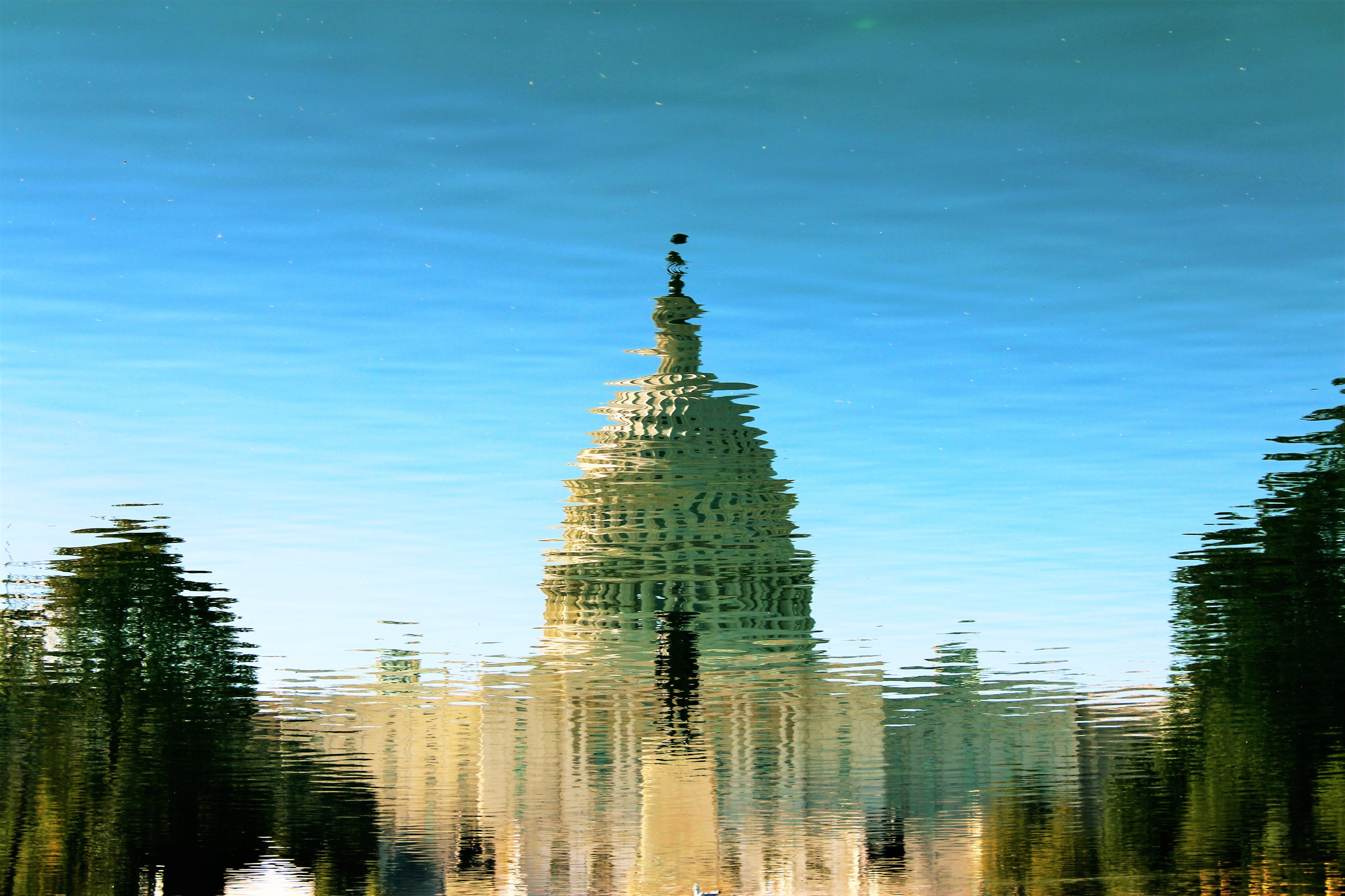 A blurred image of the U.S. Capitol.