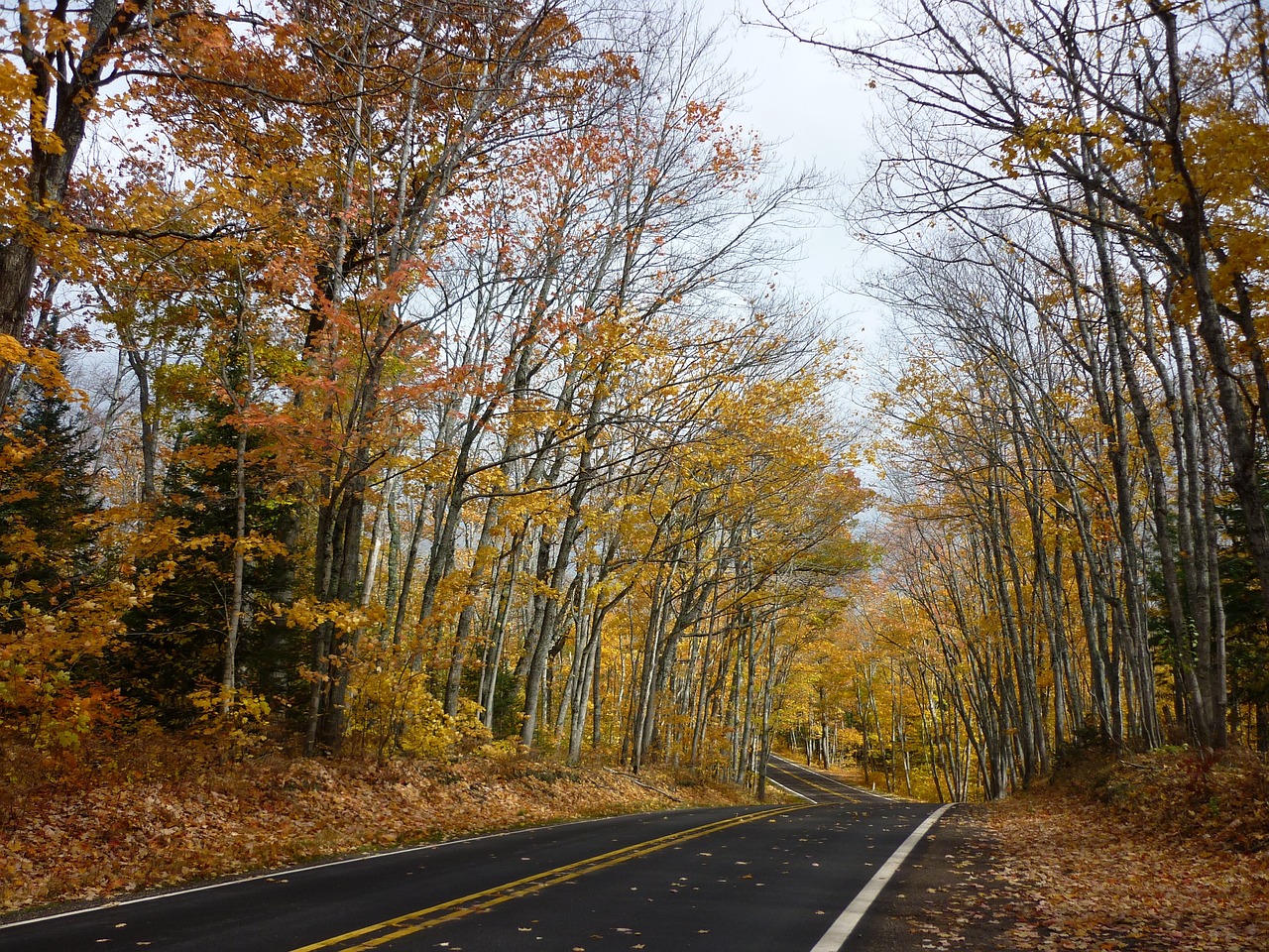 A winding Michigan road in Autumn.
