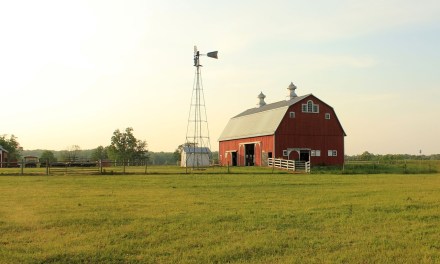 Joint venture seeks to provide fiber, wireless connectivity for rural U.S. customers
