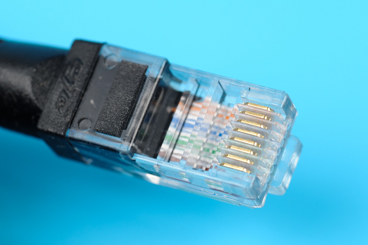 An ethernet cable.