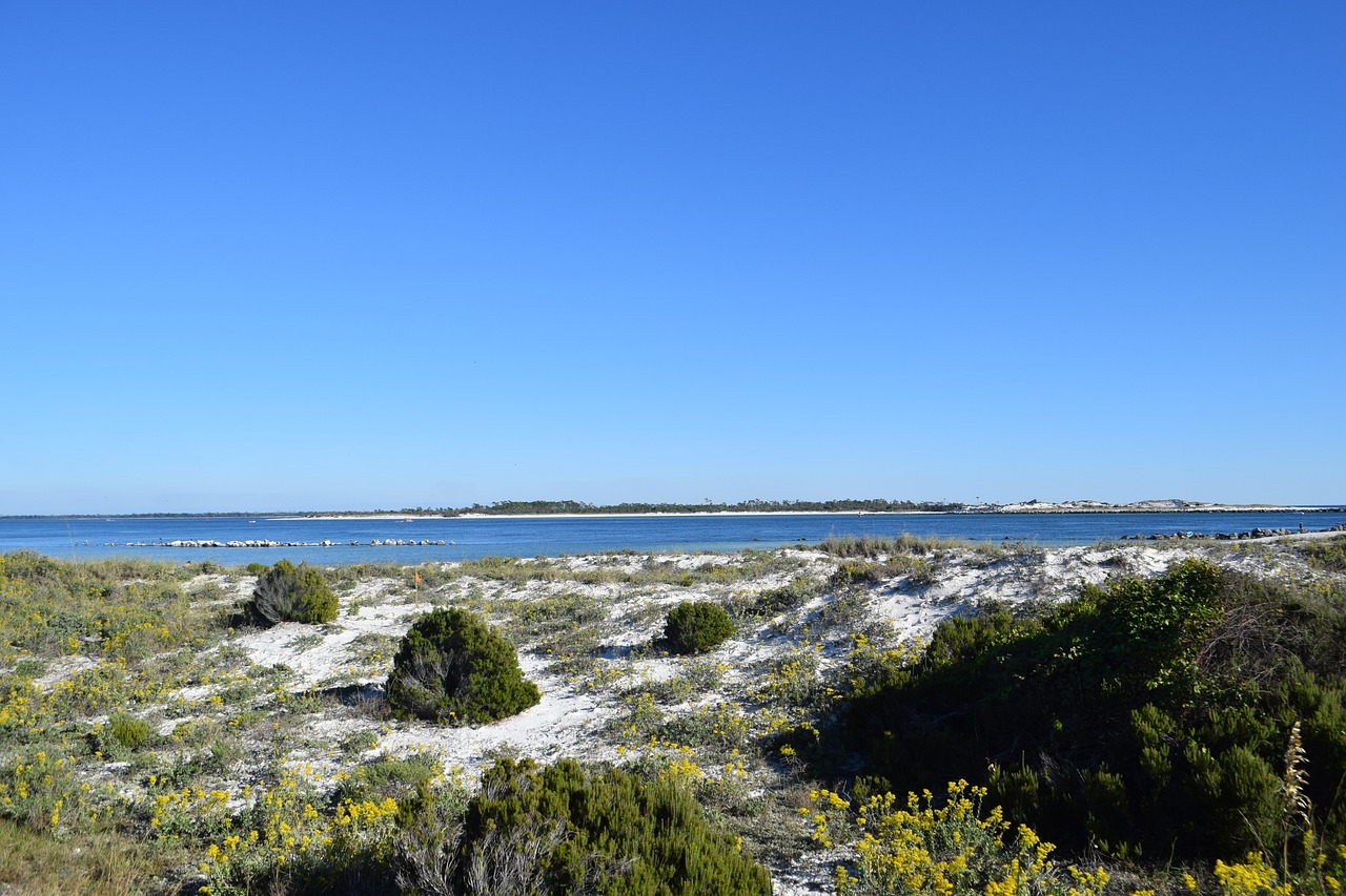 A beach in Panama City, Florida.