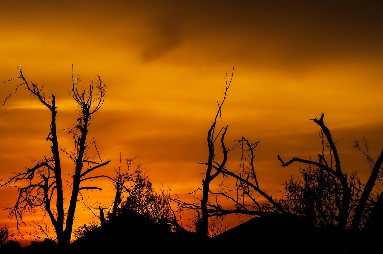 Tornado damage seen in Oklahoma.