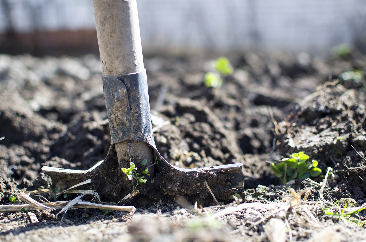 A shovel pictured in dirt.