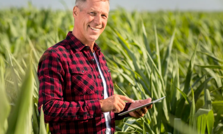 RTA deploys FTTP with DZS to bring broadband to Texas’ Bolivar Peninsula