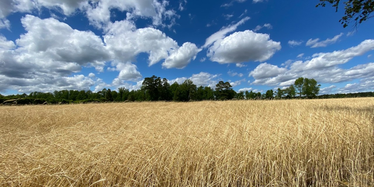 Nearly 5,000 locations now hooked up to Fybe’s network in rural NC county