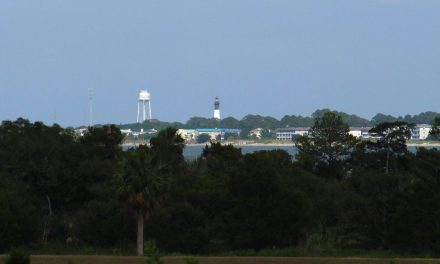 ISP touts significant progress with fiber network build in Georgia