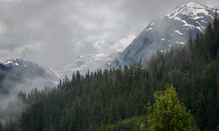 PODCAST: How an Alaska co-op has managed to thrive, despite challenges