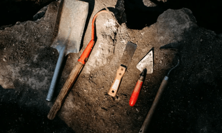 Verizon leverages AI to reduce fiber cuts