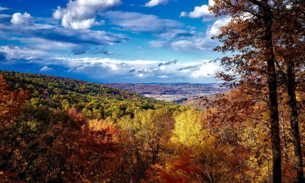 Thousands of rural Maryland locations to gain internet access