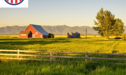 Washington-based Amphenol Network Solutions expands FTTH offerings