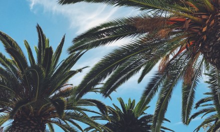 Twist Broadband rolls out services in California