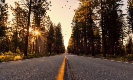 VIEWPOINTS: California aggressively attacks digital divides