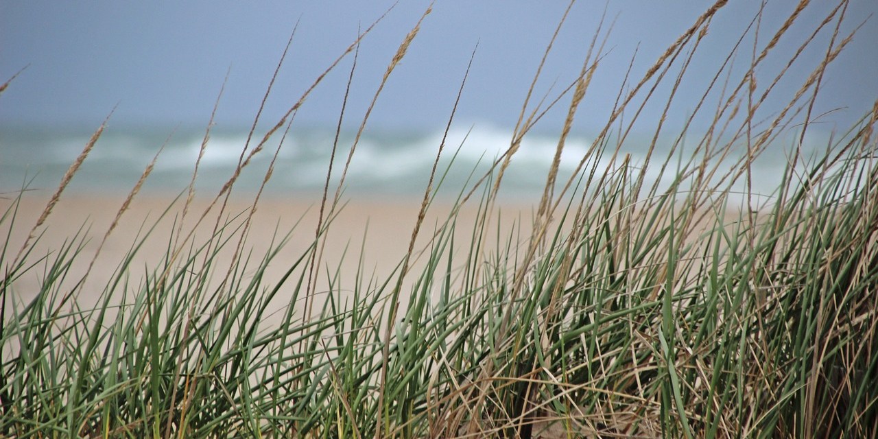 RI broadband builds to benefit Jamestown, Westerly, and Newport