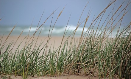 RI broadband builds to benefit Jamestown, Westerly, and Newport