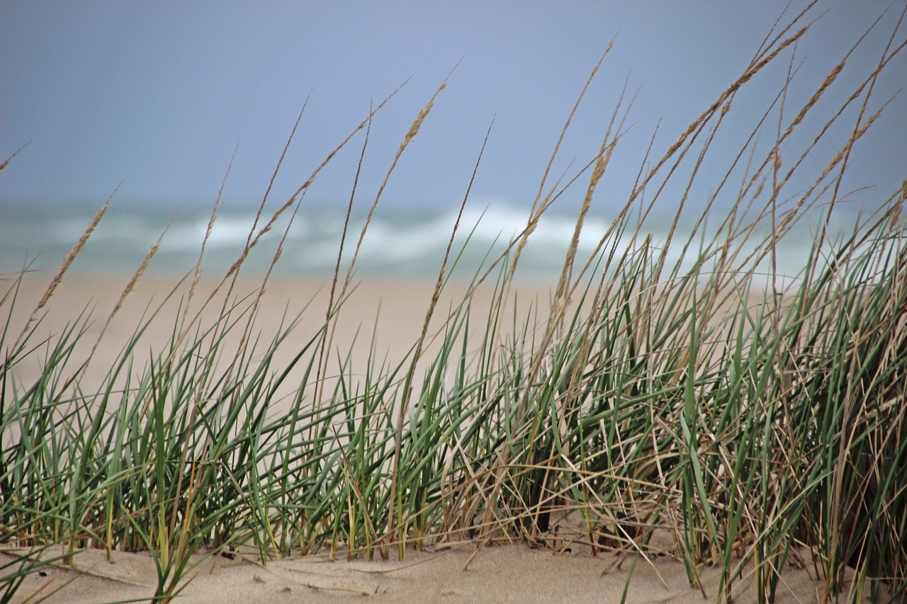 Two internet service providers (ISPs) have been selected in Rhode Island to complete broadband projects that will provide service to an estimated 6,700 locations.