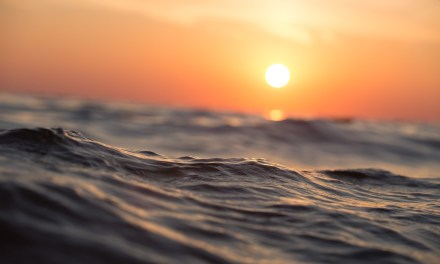 FCC launches first review of submarine cable rules since 2001