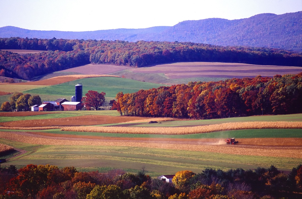 In Upper Saucon, a community in Pennsylvania's Lehigh County, Comcast plans to connect 7,000 homes and businesses by this spring.