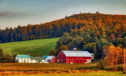 NH broadband expansion project is more than halfway done