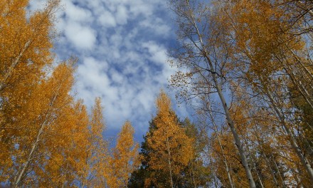 Flagstaff eyed for $65 million fiber expansion project