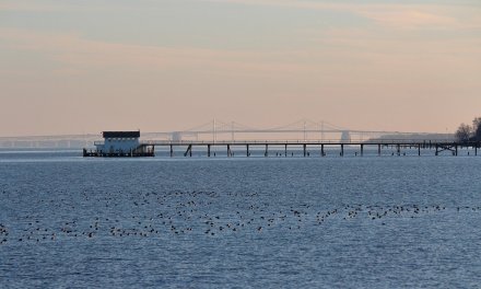 IQ Fiber completes acquisition of Maryland ISP