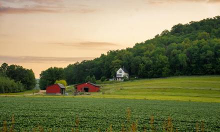 PODCAST: The fight to win hearts and minds for rural broadband