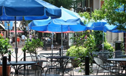 FBA releases study showing fiber’s impact on Charlottesville