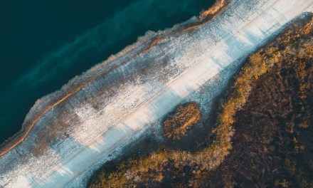 Lumos announces entrance into Florida market