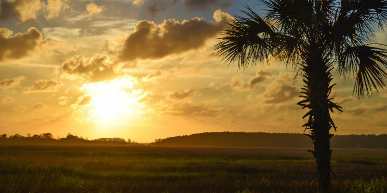 LiveOak speeds up Savannah fiber deployment with partnership