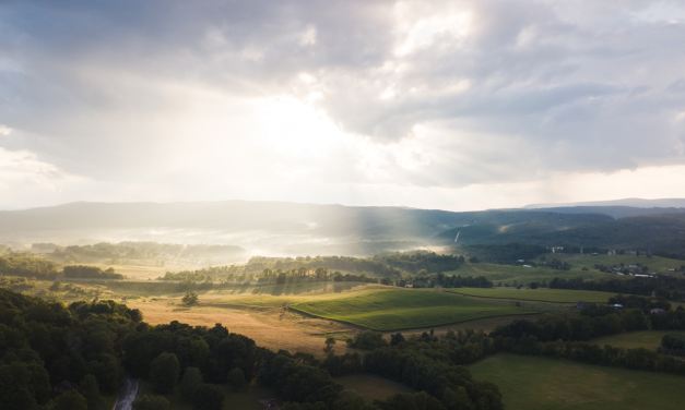 Firefly Fiber celebrates reaching 35K broadband connections