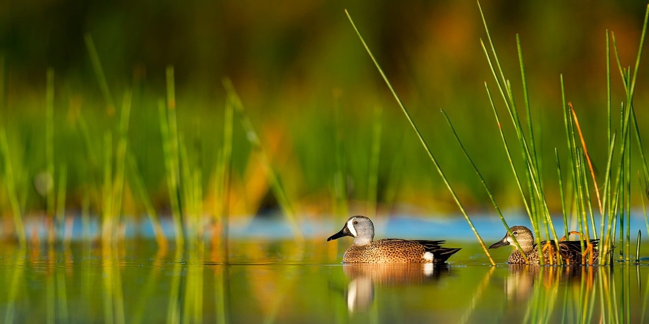 Wire 3 begins network expansion to 4 Lake County communities