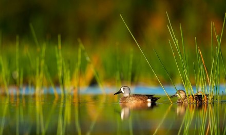 Wire 3 begins network expansion to 4 Lake County communities