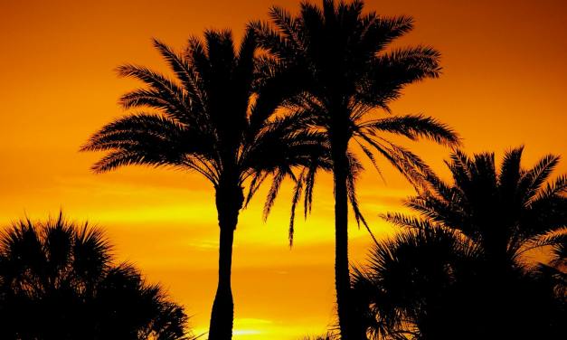 Blue Stream partners with Cape Coral master-planned community