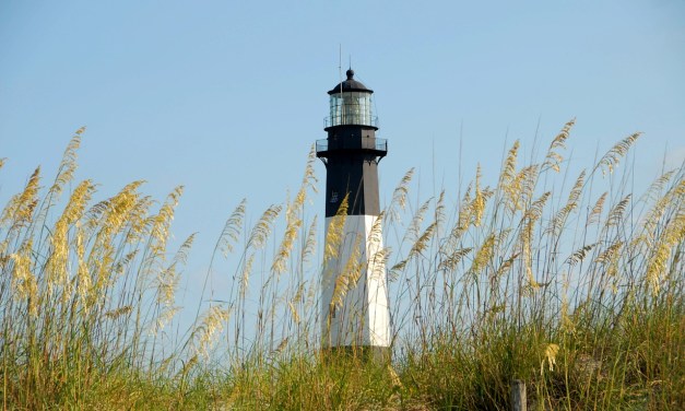 LiveOak Fiber attains 25,000 subscribers Florida and Georgia