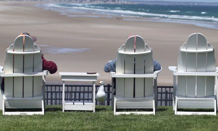 GoNetspeed expands to Wells and Ogunquit in Southern Maine