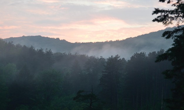 Archtop Fiber breaks ground on fiber project in Sullivan County
