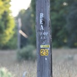 IQGeo hopes their finalized acquisition of Deepomatic, an AI computer vision developer, can help enhance predictive maintenance for networks.