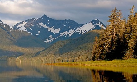 GCI aims for modernization with new Harmonic partnership