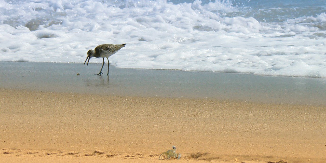 Wire 3 is halfway done with a fiber network in Titusville, Florida